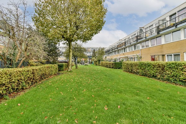 Buitendraaierij 11, 1021NM Amsterdam